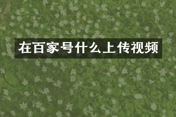 在百家号什么上传视频