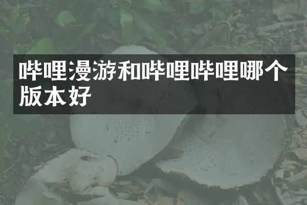 哔哩漫游和哔哩哔哩哪个版本好