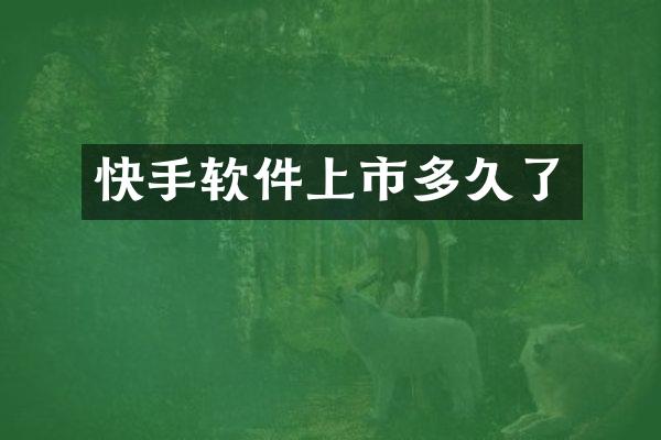 快手软件上市多久了