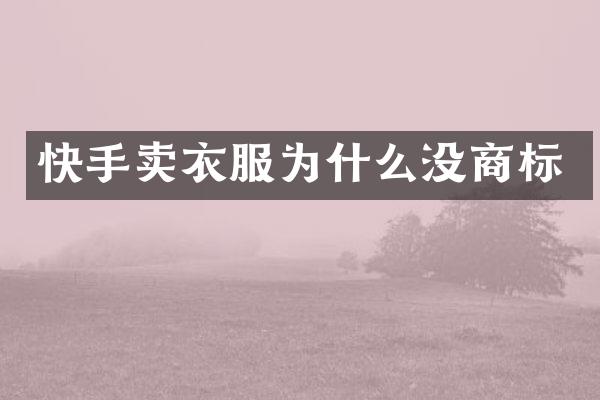 快手卖衣服为什么没商标