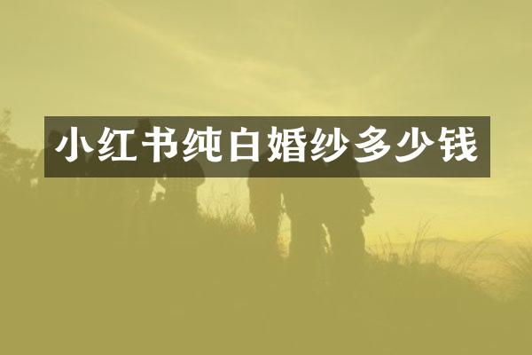小红书纯白婚纱多少钱