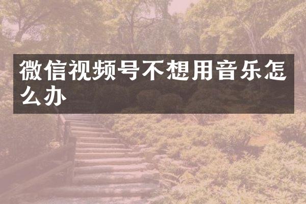微信视频号不想用音乐怎么办