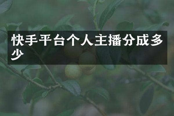 快手平台个人主播分成多少