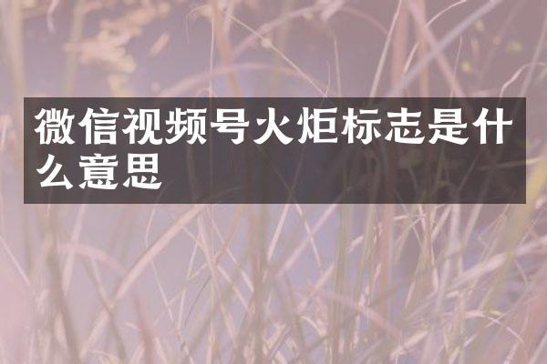微信视频号火炬标志是什么意思