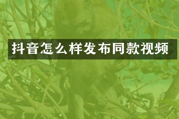 抖音怎么样发布同款视频
