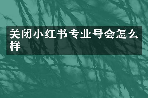 关闭小红书专业号会怎么样