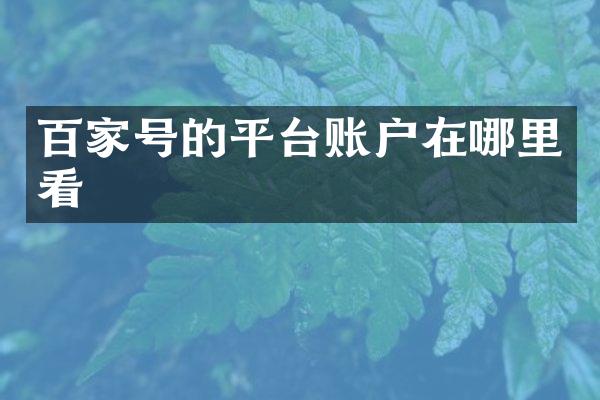 百家号的平台账户在哪里看