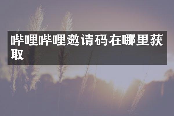 哔哩哔哩邀请码在哪里获取