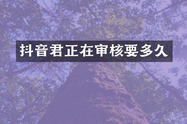 抖音君正在审核要多久