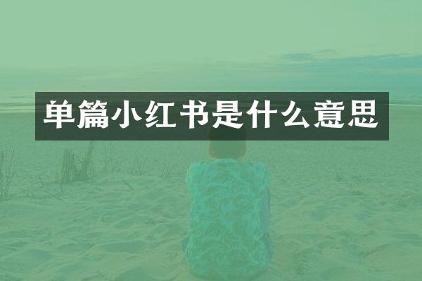 单篇小红书是什么意思