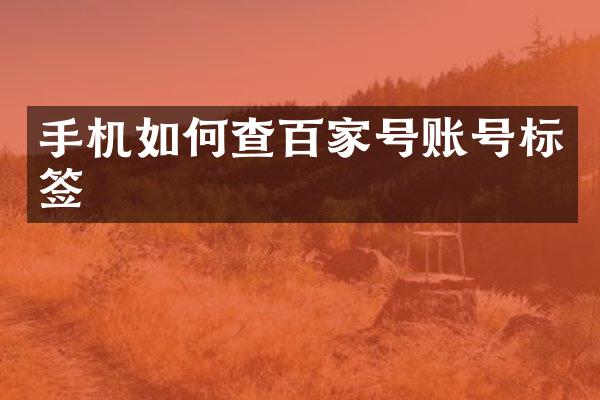 手机如何查百家号账号标签