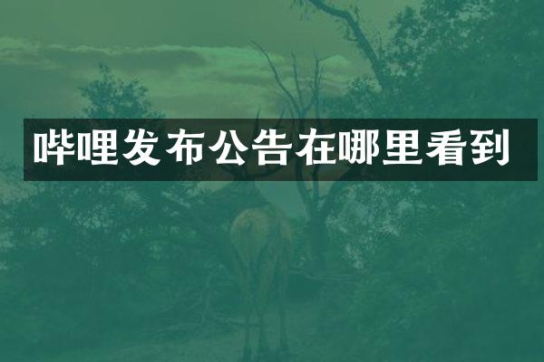 哔哩发布公告在哪里看到