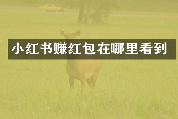小红书赚红包在哪里看到