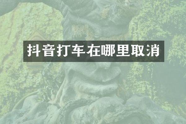 抖音打车在哪里取消