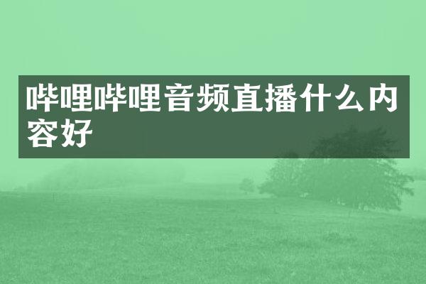 哔哩哔哩音频直播什么内容好