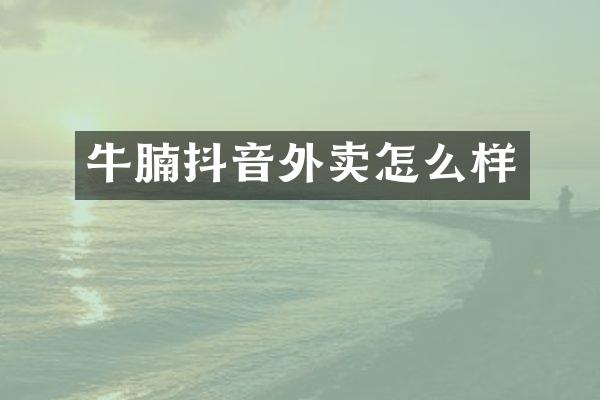 牛腩抖音外卖怎么样