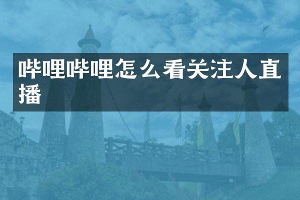 哔哩哔哩怎么看关注人直播