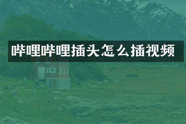 哔哩哔哩插头怎么插视频