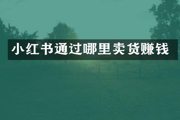 小红书通过哪里卖货赚钱