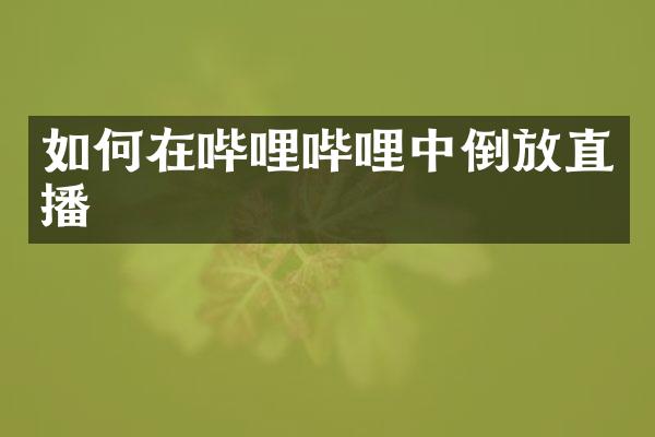 如何在哔哩哔哩中倒放直播