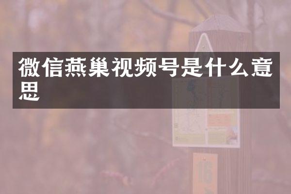 微信燕巢视频号是什么意思