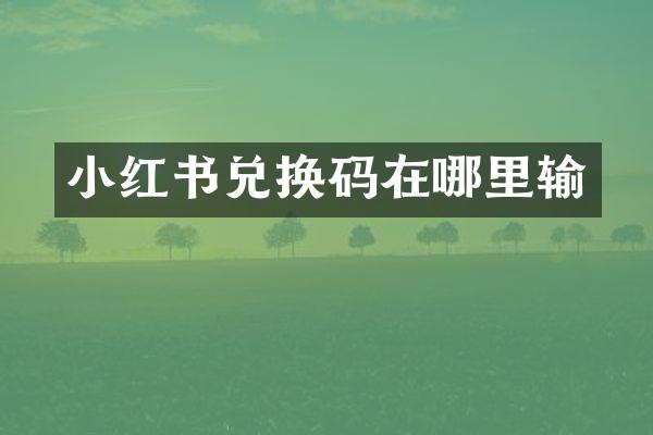 小红书兑换码在哪里输