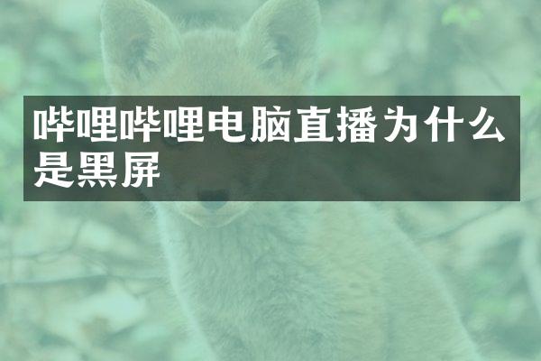 哔哩哔哩电脑直播为什么是黑屏