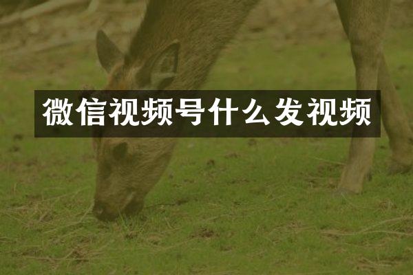 微信视频号什么发视频