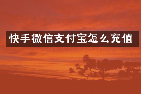 快手微信支付宝怎么充值