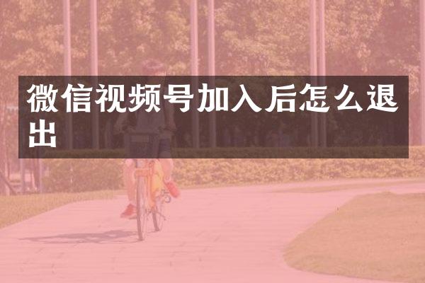 微信视频号加入后怎么退出