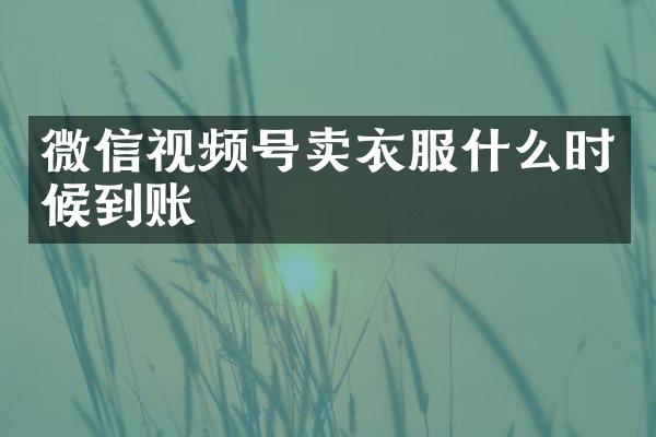 微信视频号卖衣服什么时候到账