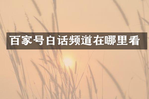 百家号白话频道在哪里看
