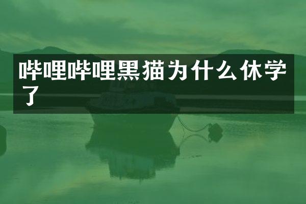 哔哩哔哩黑猫为什么休学了