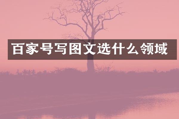 百家号写图文选什么领域
