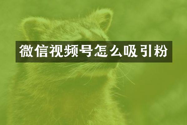 微信视频号怎么吸引粉