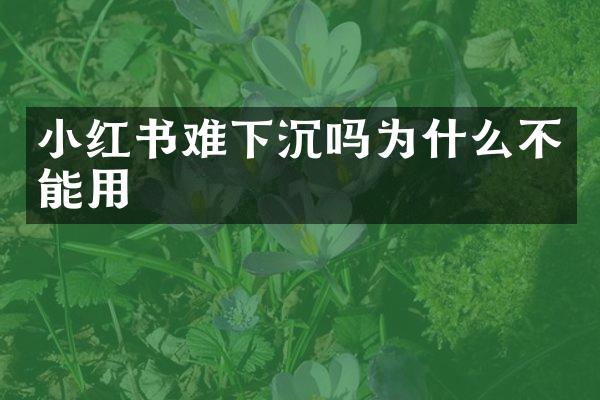 小红书难下沉吗为什么不能用