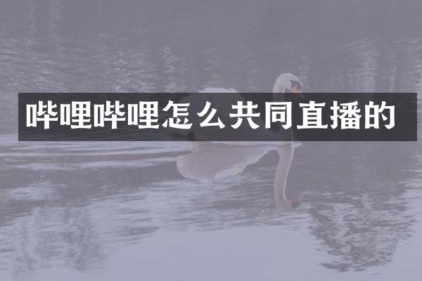 哔哩哔哩怎么共同直播的