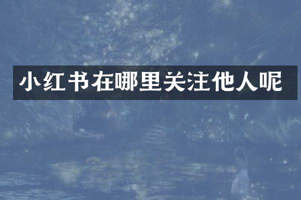 小红书在哪里关注他人呢