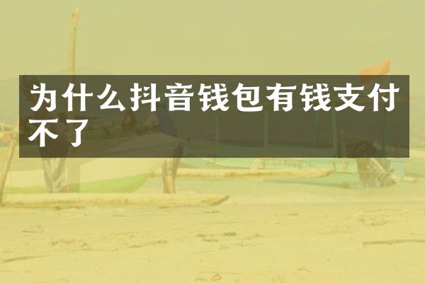 为什么抖音钱包有钱支付不了