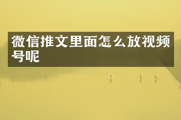 微信推文里面怎么放视频号呢