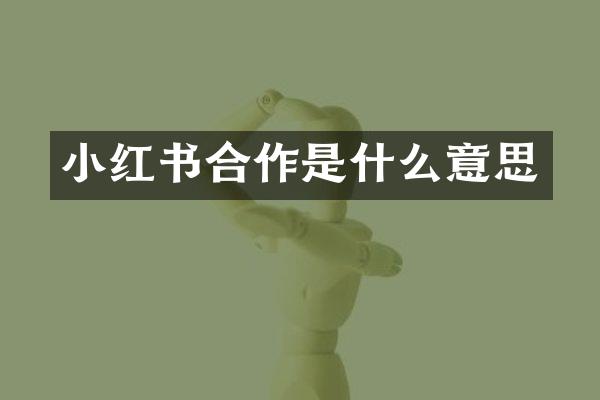 小红书合作是什么意思