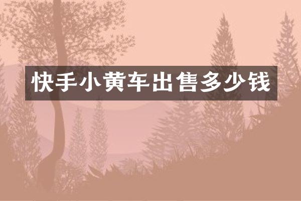 快手小黄车出售多少钱