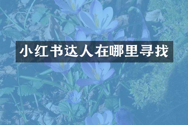 小红书达人在哪里寻找