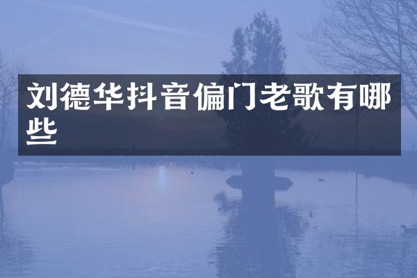 刘德华抖音偏门老歌有哪些