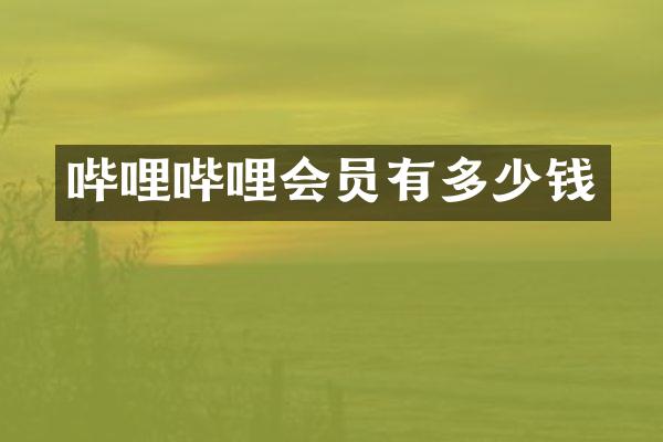 哔哩哔哩会员有多少钱