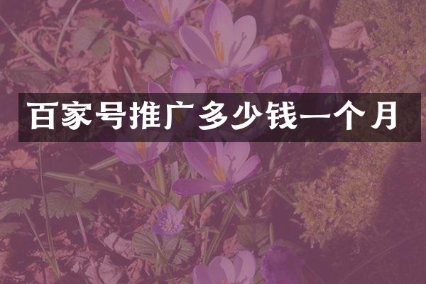 百家号推广多少钱一个月