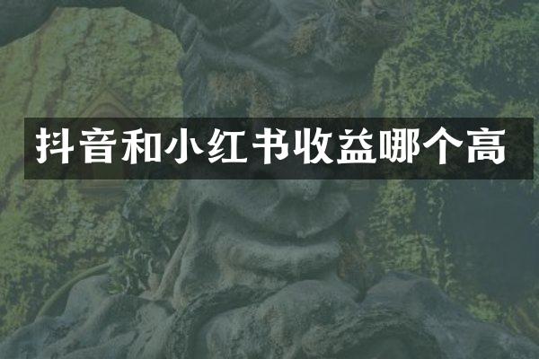 抖音和小红书收益哪个高