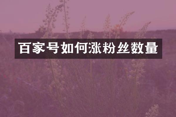 百家号如何涨粉丝数量