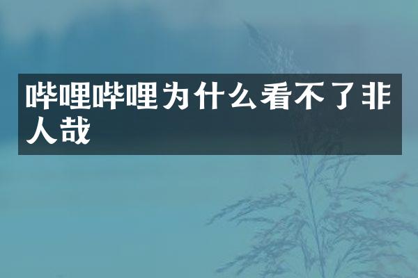 哔哩哔哩为什么看不了非人哉