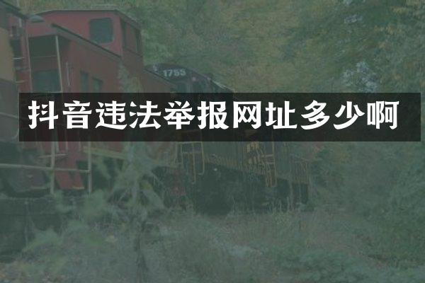 抖音违法举报网址多少啊